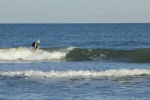Your Best St Augustine FL Surf Report Today! | Learn to Surf & Skate: A Beginner's Step-by-Step Guide