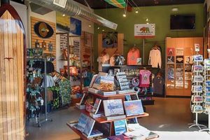 Oceanside Surf Shop: Gear Up & Ride! Learn to Surf & Skate: A Beginner's Step-by-Step Guide Oceanside Surf Shop: Gear Up & Ride! | Learn to Surf & Skate: A Beginner's Step-by-Step Guide