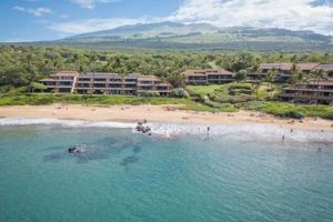 Your Guide: Makena Surf Report, Forecast & Conditions | Learn to Surf & Skate: A Beginner's Step-by-Step Guide