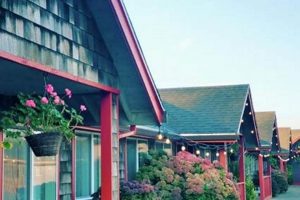 Surf City Getaway: Surf and Sand Inn, Pacific City, Oregon | Learn to Surf & Skate: A Beginner's Step-by-Step Guide