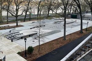 Explore Skate Park Riverside: Your Ultimate Skate Spot! Learn to Surf & Skate: A Beginner's Step-by-Step Guide Explore Skate Park Riverside: Your Ultimate Skate Spot! | Learn to Surf & Skate: A Beginner's Step-by-Step Guide