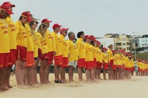 Your Guide to Bondi Beach Surf: Waves & More! | Learn to Surf & Skate: A Beginner's Step-by-Step Guide