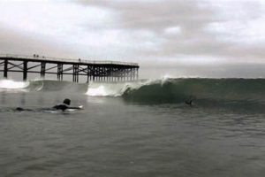 Your Best Surf Report San Diego CA: Forecast & More | Learn to Surf & Skate: A Beginner's Step-by-Step Guide