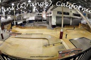 Your Guide: Orange County Skate Park Fun Learn to Surf & Skate: A Beginner's Step-by-Step Guide Your Guide: Orange County Skate Park Fun | Learn to Surf & Skate: A Beginner's Step-by-Step Guide