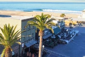 LAX Surf Stay: ITH Hermosa Beach Hostel Guide | Learn to Surf & Skate: A Beginner's Step-by-Step Guide