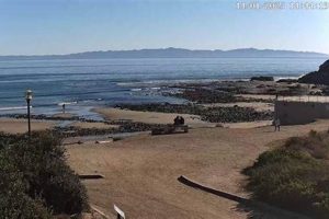 Live: Campus Point Surf Cam - See The Waves Now! | Learn to Surf & Skate: A Beginner's Step-by-Step Guide