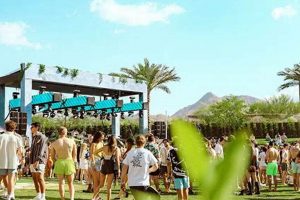 Local Surf Clubs: Find Clubs Near You + Benefits | Learn to Surf & Skate: A Beginner's Step-by-Step Guide