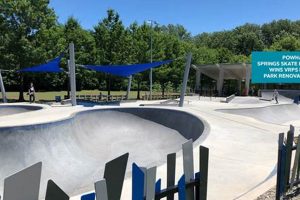 Your Guide: Skate Park in Arlington, VA | Best Spots & More | Learn to Surf & Skate: A Beginner's Step-by-Step Guide