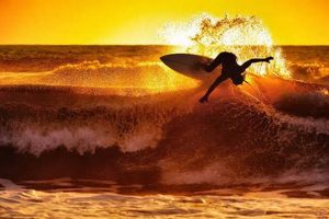 Your Sunset Beach Surf Guide: Waves, Tips & More | Learn to Surf & Skate: A Beginner's Step-by-Step Guide