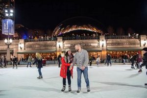 Chicago Skate: Glide at Millennium Park Today! | Learn to Surf & Skate: A Beginner's Step-by-Step Guide