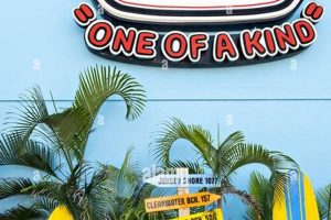 Your Guide to Florida Ron Jon Surf Shop Adventures! Learn to Surf & Skate: A Beginner's Step-by-Step Guide Your Guide to Florida Ron Jon Surf Shop Adventures! | Learn to Surf & Skate: A Beginner's Step-by-Step Guide