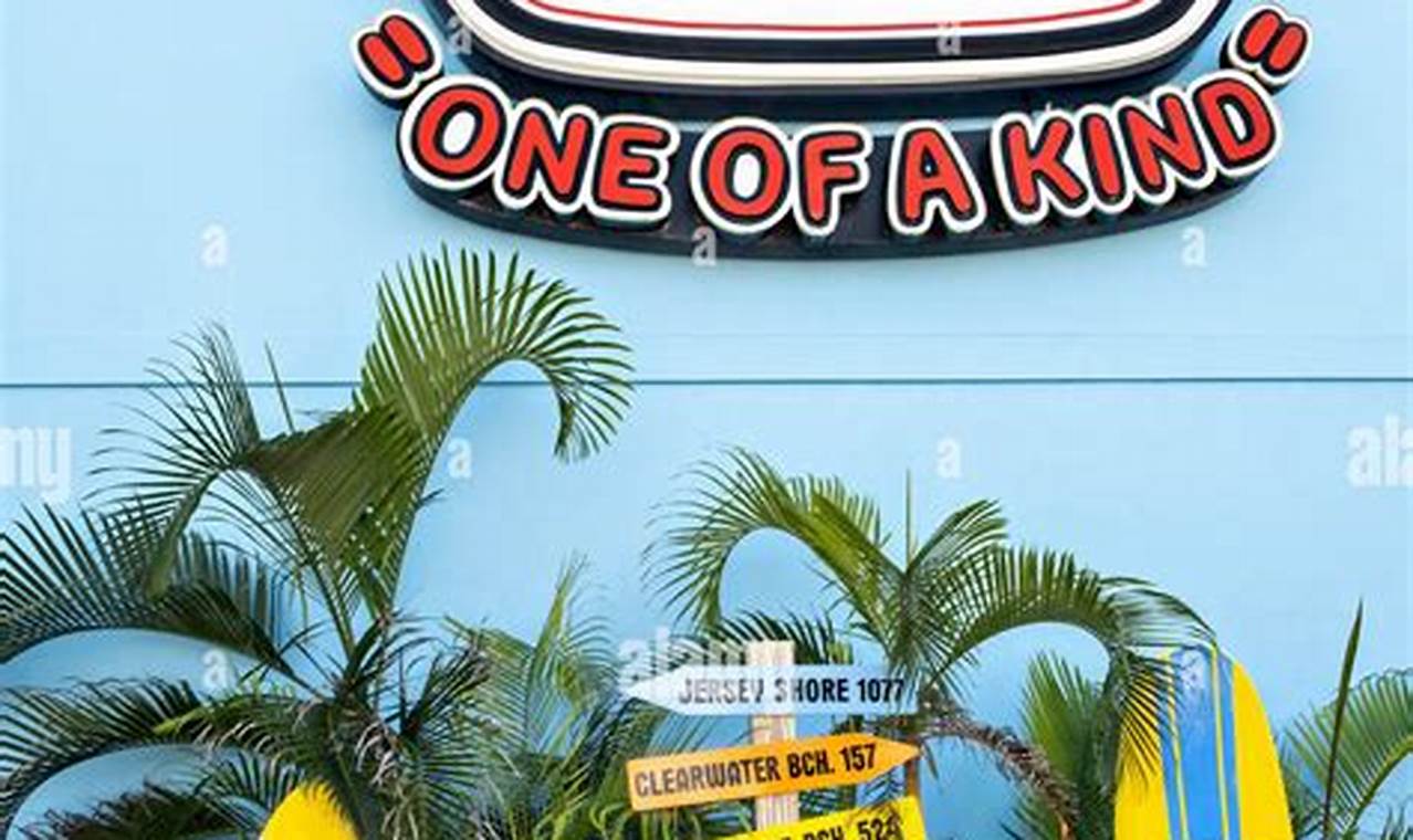 Your Guide to Florida Ron Jon Surf Shop Adventures! | Learn to Surf & Skate: A Beginner's Step-by-Step Guide