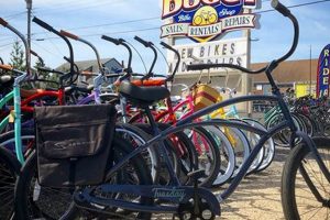Rent a Surf Buggy in Surf City NJ: Your Beach Guide | Learn to Surf & Skate: A Beginner's Step-by-Step Guide