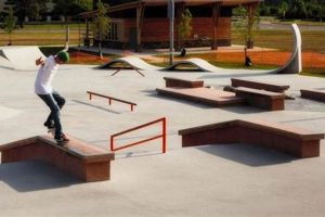 Best Dublin Skate Park Guide: Locations & Tips | Learn to Surf & Skate: A Beginner's Step-by-Step Guide