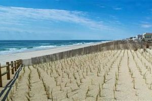 Surf City Weather: Your Guide, Forecast & More | Learn to Surf & Skate: A Beginner's Step-by-Step Guide