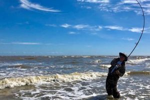 Your Guide: Surf Fishing Myrtle Beach Tips & Hotspots | Learn to Surf & Skate: A Beginner's Step-by-Step Guide