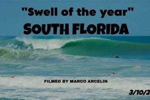 Your Delray Surf Report: Today's Beach & Wave Conditions | Learn to Surf & Skate: A Beginner's Step-by-Step Guide