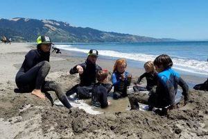 Learn Bolinas Surf Lessons Now: Affordable & Safe! | Learn to Surf & Skate: A Beginner's Step-by-Step Guide