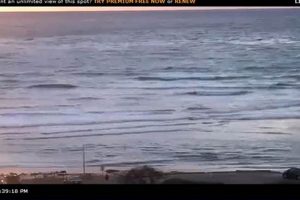 Cardiff Surf Cam: See Live Beach Conditions & More! | Learn to Surf & Skate: A Beginner's Step-by-Step Guide