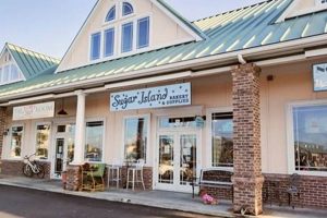 Discover Sugar Island Surf City Paradise Learn to Surf & Skate: A Beginner's Step-by-Step Guide Discover Sugar Island Surf City Paradise | Learn to Surf & Skate: A Beginner's Step-by-Step Guide