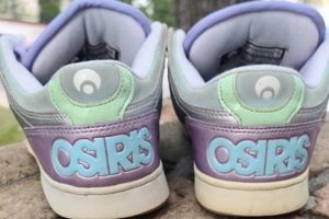 Retro Kicks: Osiris Skate Shoes 2000s Style & History | Learn to Surf & Skate: A Beginner's Step-by-Step Guide