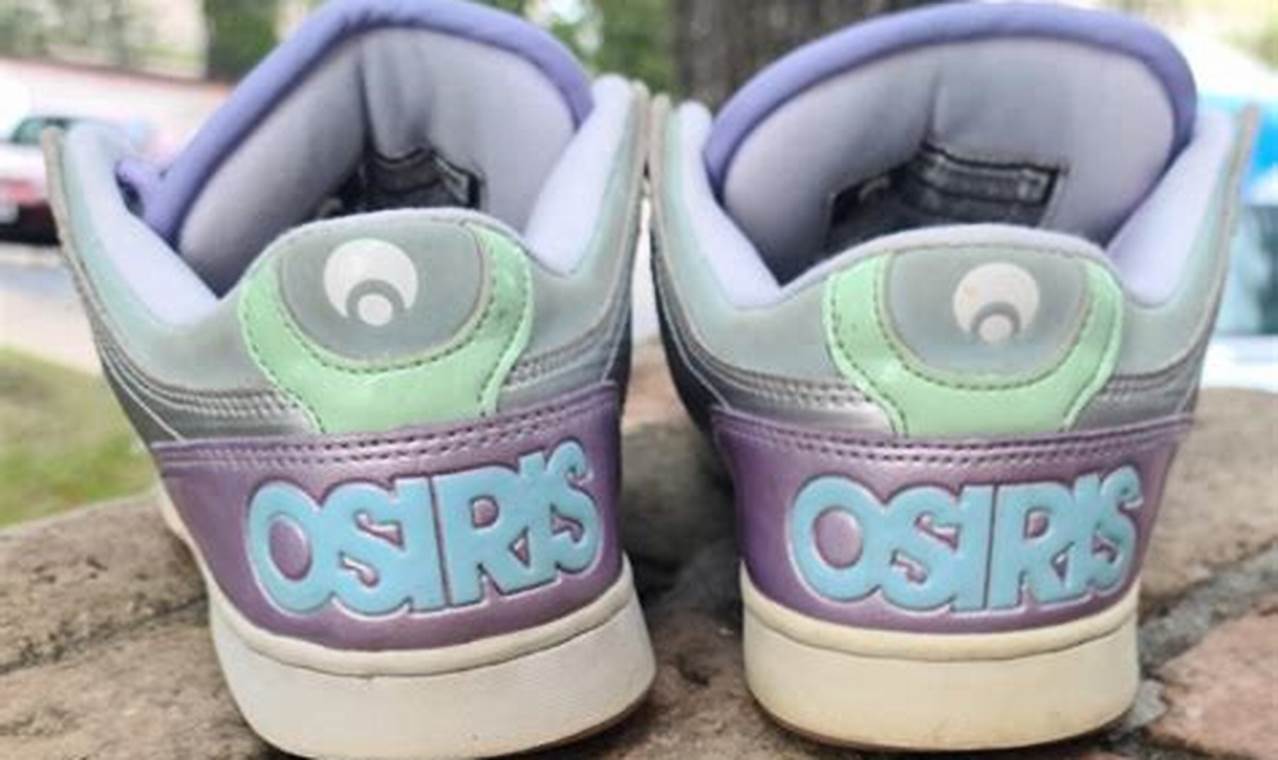Retro Kicks: Osiris Skate Shoes 2000s Style & History | Learn to Surf & Skate: A Beginner's Step-by-Step Guide