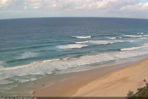 Best Port a Surf Cam: Watch Live Surf | Learn to Surf & Skate: A Beginner's Step-by-Step Guide