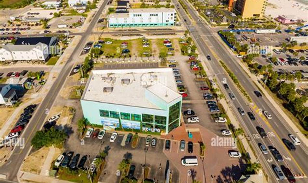 Live the Orange Beach Surf Style: Gear, Beaches & More | Learn to Surf & Skate: A Beginner's Step-by-Step Guide