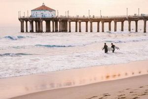 Your Guide: Surfing Manhattan Beach, CA - Waves Await! | Learn to Surf & Skate: A Beginner's Step-by-Step Guide