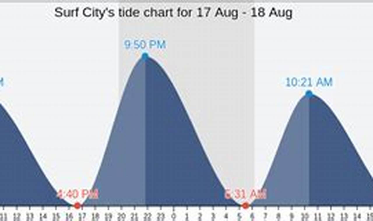 Surf City Tides: Your Ultimate Beach Guide Chart | Learn to Surf & Skate: A Beginner's Step-by-Step Guide