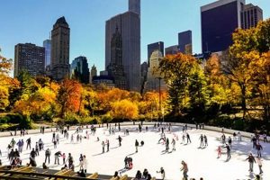 Best Skate Central Park Spots: Gear Up & Glide! | Learn to Surf & Skate: A Beginner's Step-by-Step Guide