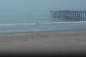 Live Surf Cam Pismo Beach: See Pismo Waves Now! | Learn to Surf & Skate: A Beginner's Step-by-Step Guide