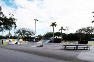 Your Guide: Palmetto Bay Skate Park Fun + Tips | Learn to Surf & Skate: A Beginner's Step-by-Step Guide
