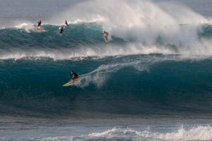 Your Pua'ena Surf Report: Waves & Conditions Today Learn to Surf & Skate: A Beginner's Step-by-Step Guide Your Pua'ena Surf Report: Waves & Conditions Today | Learn to Surf & Skate: A Beginner's Step-by-Step Guide
