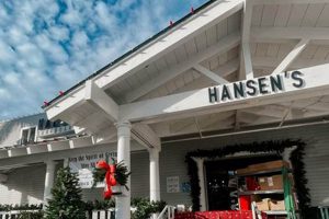 Your Hansen Surf Shop Guide: Gear, Rentals & More! | Learn to Surf & Skate: A Beginner's Step-by-Step Guide