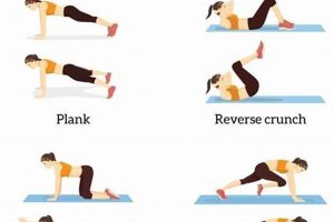 Supercharge: Ice Skater Exercise Drills for Agility! | Learn to Surf & Skate: A Beginner's Step-by-Step Guide