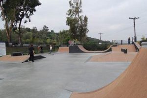 Paradise Hills Skate Park: Ride the Hills! | Learn to Surf & Skate: A Beginner's Step-by-Step Guide