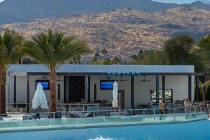 Discover Palm Springs Surf Club: Desert Wave Paradise | Learn to Surf & Skate: A Beginner's Step-by-Step Guide