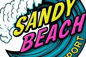 Your Sandy Beach Surf Report: Conditions &amp; Forecast | Learn to Surf & Skate: A Beginner's Step-by-Step Guide