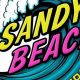 Your Sandy Beach Surf Report: Conditions &amp; Forecast | Learn to Surf & Skate: A Beginner's Step-by-Step Guide