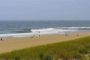Long Branch Surf Cam: See Conditions Now [Live] | Learn to Surf & Skate: A Beginner's Step-by-Step Guide