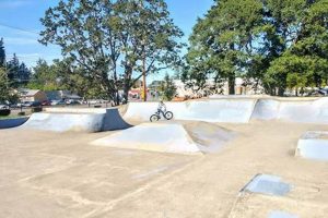 Kiwanis Skate Park Fun: Your Local Skate Spot! | Learn to Surf & Skate: A Beginner's Step-by-Step Guide