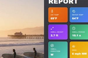 Your Guide: Redondo Beach Surf Report & Wave Info | Learn to Surf & Skate: A Beginner's Step-by-Step Guide