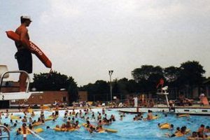 Your Ultimate Guide: Big Surf Wave Pool - Mount Prospect Fun! | Learn to Surf & Skate: A Beginner's Step-by-Step Guide