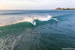Your Haleiwa Surf Report: Conditions & Forecasts Now! | Learn to Surf & Skate: A Beginner's Step-by-Step Guide