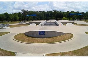 Skate Park Gainesville Fl | Learn to Surf & Skate: A Beginner's Step-by-Step Guide