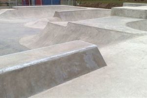 Bridgeland Skate Park: Your Guide + Nearby Spots! | Learn to Surf & Skate: A Beginner's Step-by-Step Guide