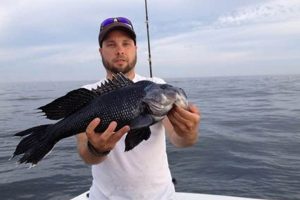 Get the Latest Long Island Surf Fishing Report: Hot Spots & Tips | Learn to Surf & Skate: A Beginner's Step-by-Step Guide