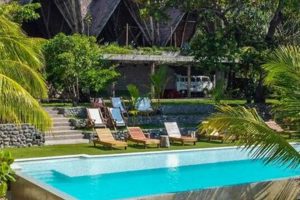 Boost Skills @ Puro Surf Hotel & Academy [Performance+] | Learn to Surf & Skate: A Beginner's Step-by-Step Guide