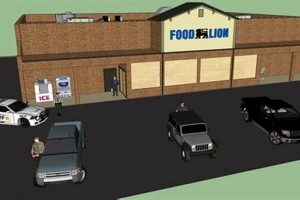 Your Guide to Surf City NC Food Lion: Savings & More! | Learn to Surf & Skate: A Beginner's Step-by-Step Guide